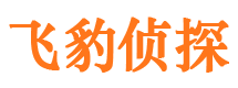 青阳市私家侦探